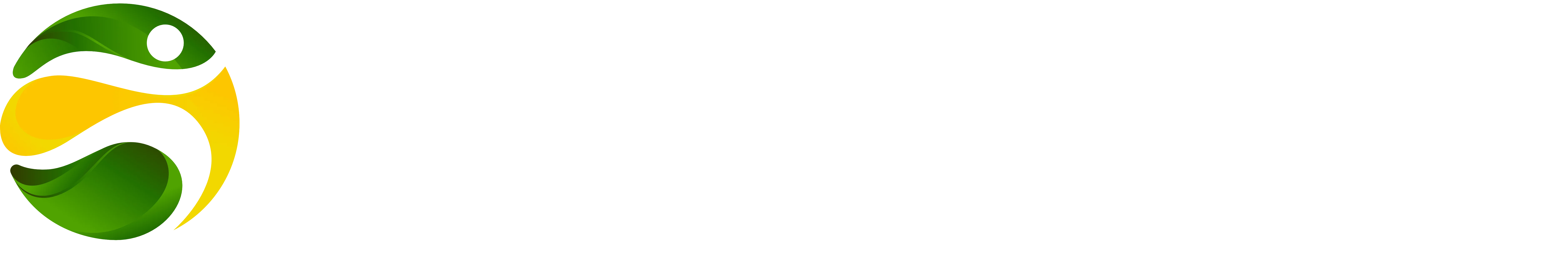 Parceiro 4